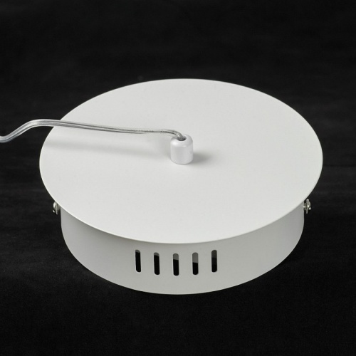 Подвесной светильник Lussole Ketchikan LSP-7199 в Нижнем Новгороде фото 3