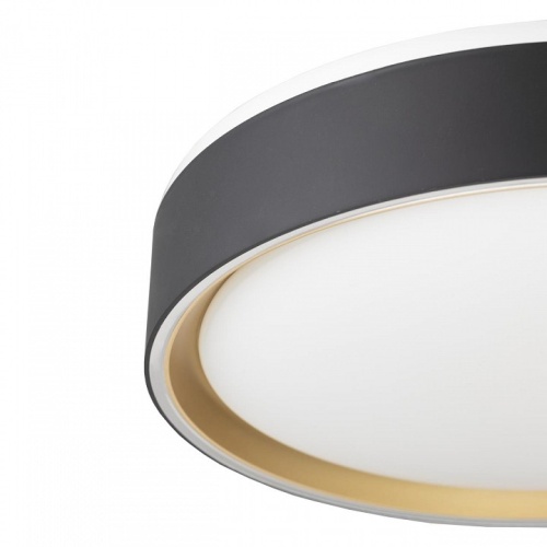 Накладной светильник Citilux BOSS CL751251G в Нижнем Новгороде фото 2