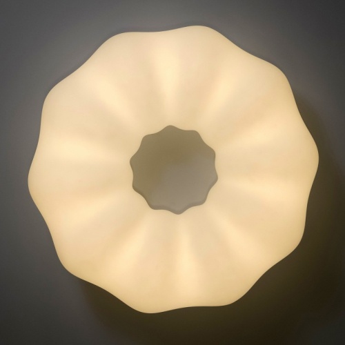 Накладной светильник Zortes Soft ZRS.1118.4 в Нижнем Новгороде фото 10