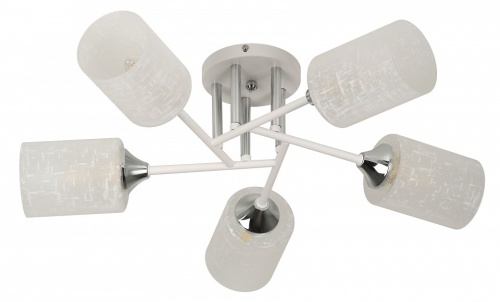 Потолочная люстра Rivoli Federica Б0068392 в Нижнем Новгороде фото 10