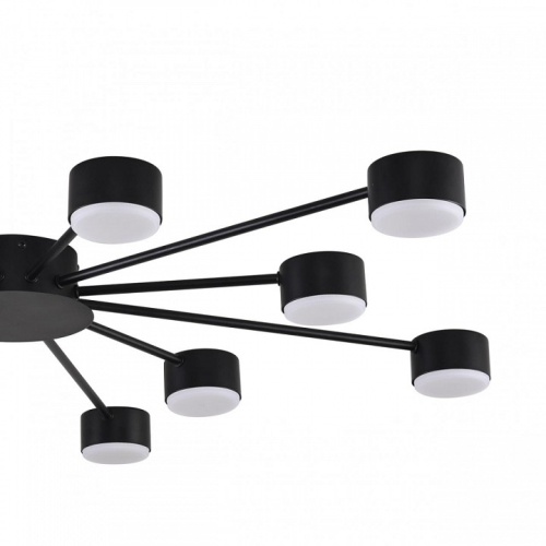 Потолочная люстра Lumion TORINA 8344/12C в Нижнем Новгороде фото 6