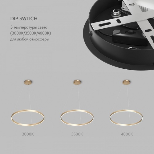 Подвесной светильник Denkirs RAYDIA DK6273-SG в Нижнем Новгороде фото 5