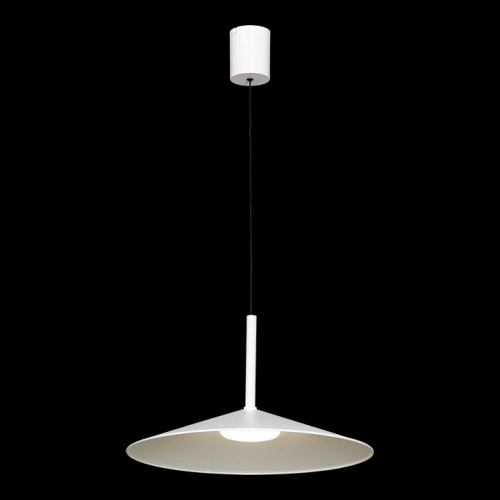 Подвесной светильник Lussole REFUGIO LSP-7431 в Нижнем Новгороде фото 8