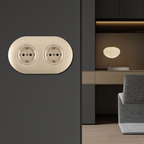 Розетка с заземлением и со шторкой Arte Milano SET08-2 SET08-2-40-1x2 shampan в Нижнем Новгороде фото 2