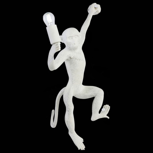 Накладной светильник EVOLUCE Tenato SLE115111-01 в Нижнем Новгороде фото 5