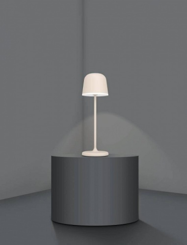 Настольная лампа декоративная Eglo ПРОМО Mannera 900461 в Мегионе фото 5