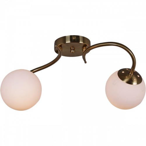 Светильник на штанге 81724-0.3-02 в Нижнем Новгороде фото 4