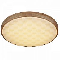 Накладной светильник 60530-0.2-60W в Нижнем Новгороде