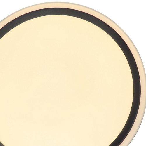 Накладной светильник Zortes Bella ZRS.1201.04 в Нижнем Новгороде фото 5