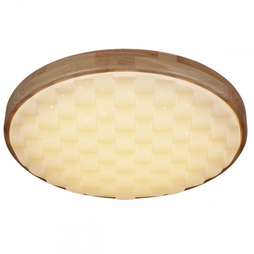 Накладной светильник 60530-0.2-60W в Нижнем Новгороде