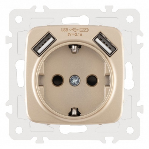 Розетка с заземлением и со шторкой и 2хUSB, без рамки Arte Milano am-205 205.47-1.shampan в Нижнем Новгороде