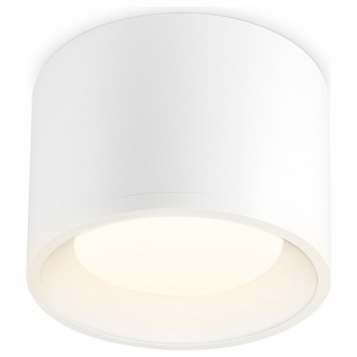 Накладной светильник Ambrella Light TN TN5321 в Нижнем Новгороде фото 2