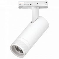 Светильник на штанге Lightstar Canno Pro C4126SS в Нижнем Новгороде