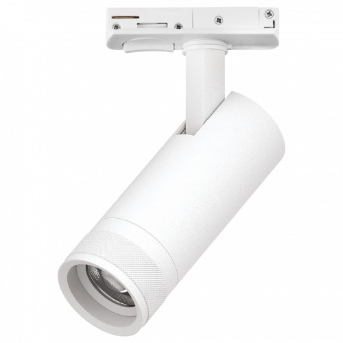 Светильник на штанге Lightstar Canno Pro C4126SS в Нижнем Новгороде