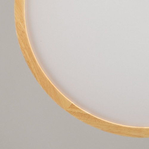 Накладной светильник De City Норден 660015501 в Нижнем Новгороде фото 5