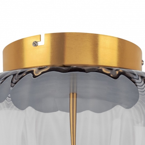 Накладной светильник Lightstar Celesta 809061 в Нижнем Новгороде фото 2