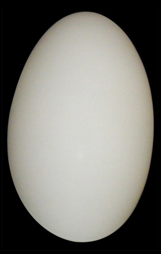 Накладной светильник Lightstar Sferetta 801600 в Белово фото 3