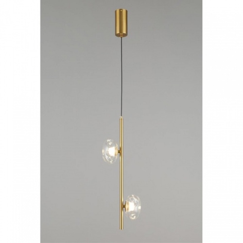 Подвесной светильник Aployt Tereze APL.074.06.02 в Нижнем Новгороде фото 3