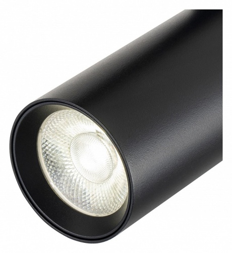 Светильник на штанге Escada 20002 20002TRA/02LED SBK в Нижнем Новгороде фото 3