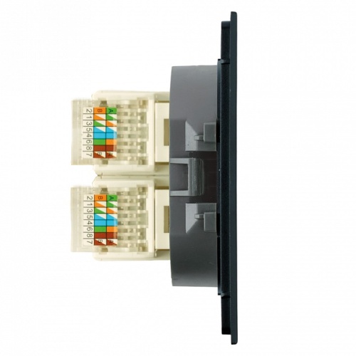 Розетка двойная Ethernet RJ-45 без рамки Stekker Мия 50451 в Нижнем Новгороде фото 2