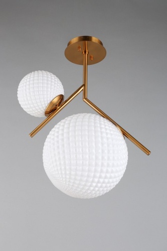 Светильник на штанге Aployt Marzena APL.300.07.02 в Нижнем Новгороде фото 4