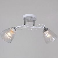 Светильник на штанге  55560-0.3-02 WH+CR в Нижнем Новгороде