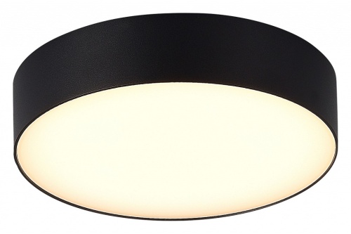 Накладной светильник ST-Luce Sun SL9518.402.01 в Нижнем Новгороде фото 2