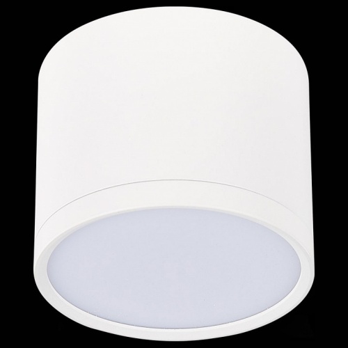 Накладной светильник ST-Luce Rene ST113.532.09 в Нижнем Новгороде фото 5