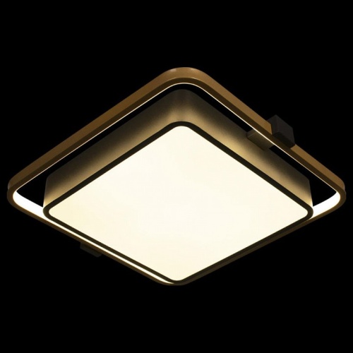 Накладной светильник Loft it Mike 10171 в Нижнем Новгороде фото 3