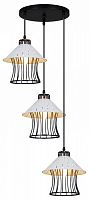 Подвесной светильник 02512-0.9-03 BK+WH в Нижнем Новгороде