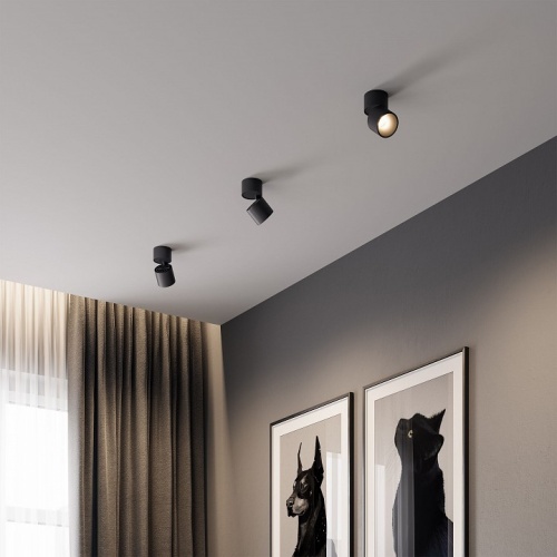 Накладной светильник Elektrostandard Rolly a067488 в Нижнем Новгороде фото 4