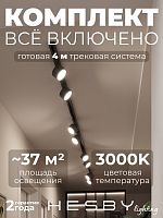 Комплект трековый Hesby Lighting Skylite №13 HSBL_kompl_S013_NI4B3K в Нижнем Новгороде