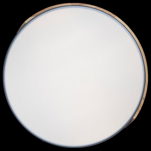 Накладной светильник Loft it Axel 3 10004/36 Grey в Нижнем Новгороде фото 2