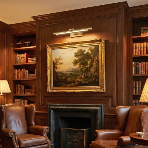 Подсветка для картины  06738-0.2-460 в Нижнем Новгороде фото 4