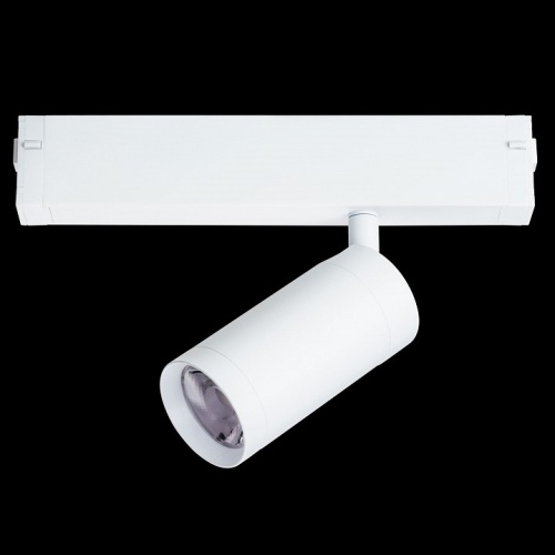 Светильник на штанге Lightstar Teta 205026 в Нижнем Новгороде фото 3