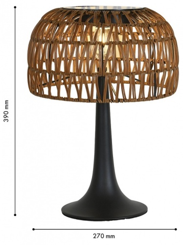 Настольная лампа декоративная Favourite Assolato 4833-1T в Нижнем Новгороде фото 2