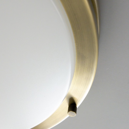 Накладной светильник Citilux Бостон CL709323N в Нижнем Новгороде фото 16