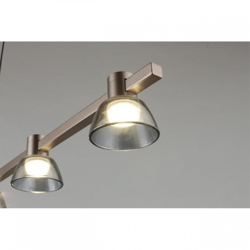 Подвесной светильник Aployt Rezeda APL.788.03.06 в Нижнем Новгороде фото 9