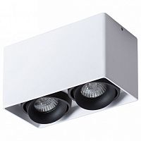 Накладной светильник Arte Lamp Pictor A5654PL-2WH в Нижнем Новгороде