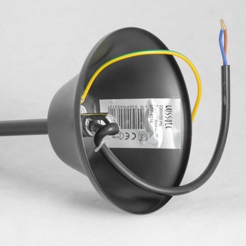 Подвесная люстра Lussole Lattice 1 GRLSP-8216 в Нижнем Новгороде фото 5