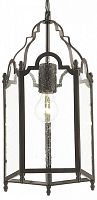 Подвесной светильник Favourite Mirum 1954-1P в Мегионе