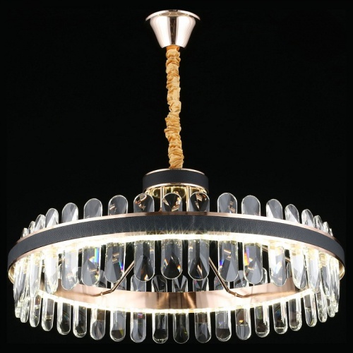 Подвесной светильник Aployt Honori APL.027.03.102 в Нижнем Новгороде фото 6