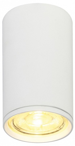 Накладной светильник Escada 20001 20001SMU/01 SWH в Нижнем Новгороде фото 2