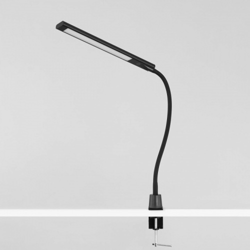 Настольная лампа офисная Citilux Рио CL803091N в Нижнем Новгороде фото 4