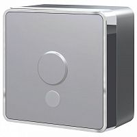 Розетка для вывода кабеля без рамки Werkel Gallant (серебряный) W5050206 в Нижнем Новгороде