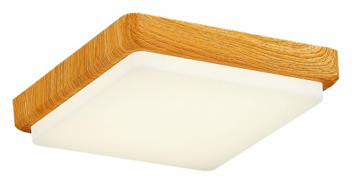 Накладной светильник EVOLUCE Taddio SLE200202-01 в Нижнем Новгороде фото 9