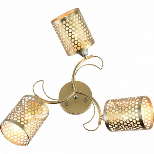 Потолочная люстра 01322-0.3-03 MATT GOLD+CR в Нижнем Новгороде фото 3