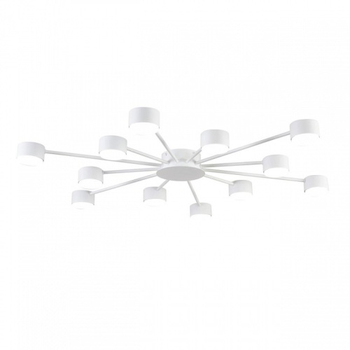 Потолочная люстра Lumion TORINA 8343/12C в Нижнем Новгороде фото 3