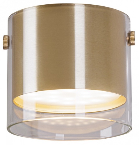 Накладной светильник Arte Lamp Lazio A5366PL-1SG в Нижнем Новгороде