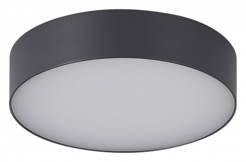 Накладной светильник ST-Luce Sun SL9518.702.01 в Нижнем Новгороде